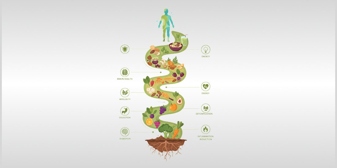 Plant-Based Diets for Modern Health and Lifestyle